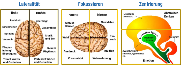 Life Kinetik im Detail - Thomas Stickroth – Coach und Mentaltrainer